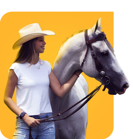 Mulher montada no cavalo